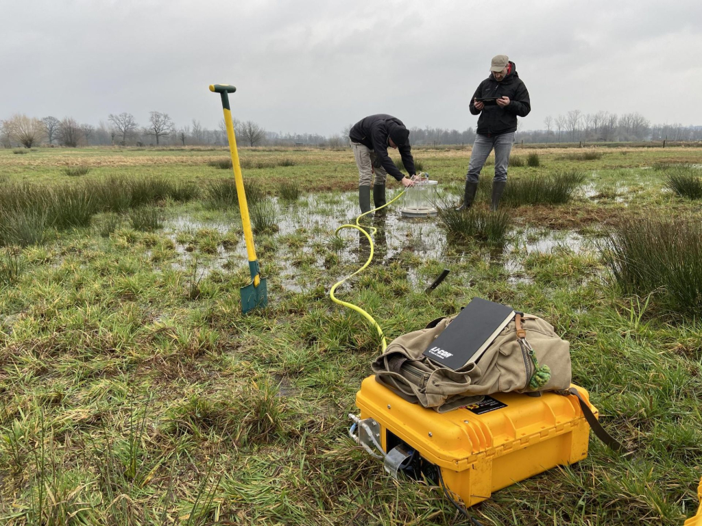 Peatland restoration